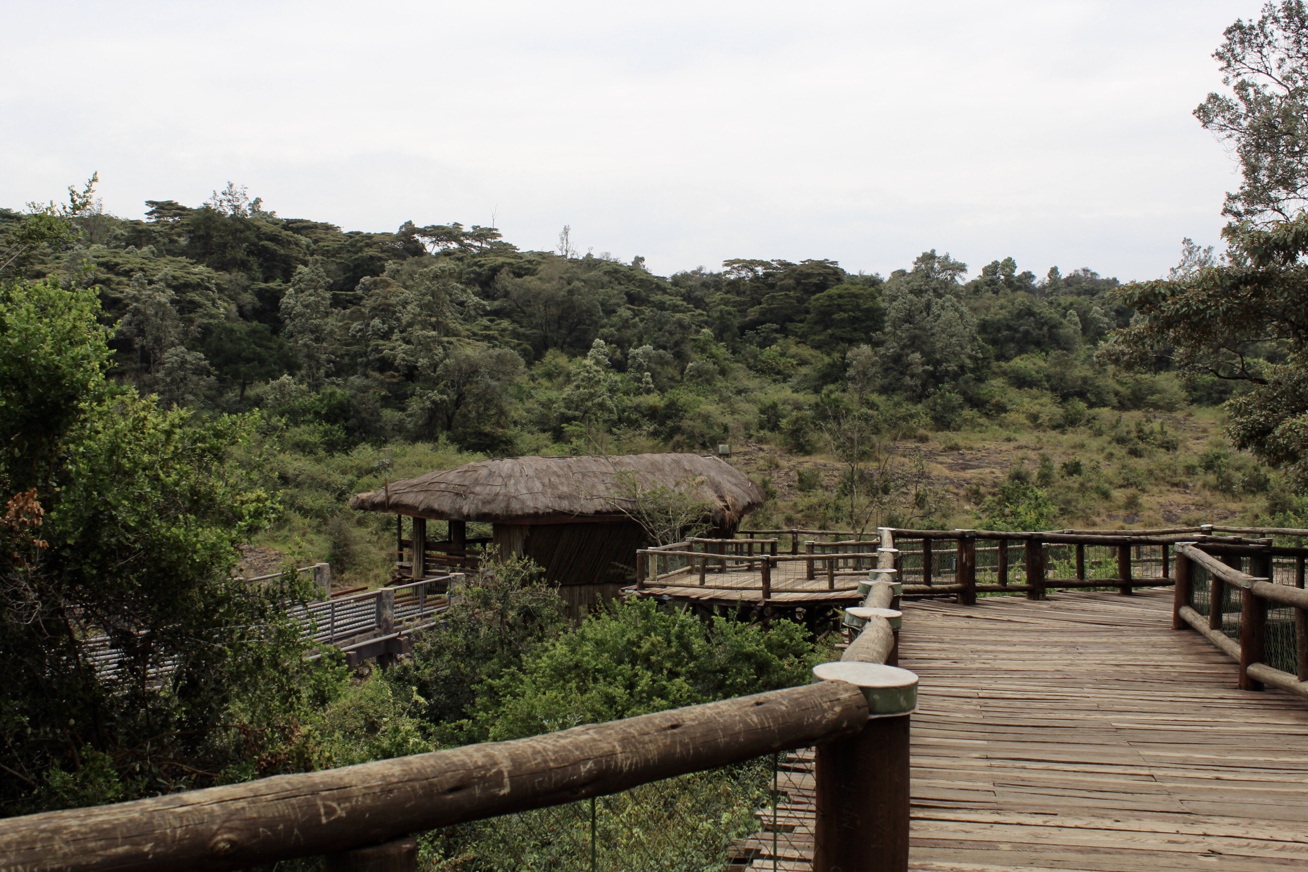 safari_walk_nairobi_national_park
